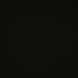 Meet your Posher, Abigail